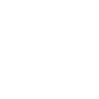 optional Icon